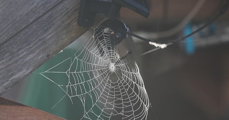 Optimiser les images pour réduire le poids et améliorer le référencement